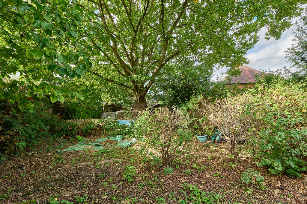 P1608514 T202509301930.jpg