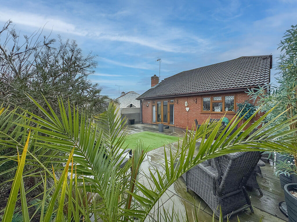 rear 2
