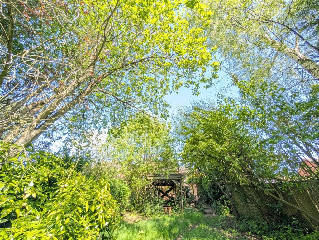 Back Garden 9.jpg
