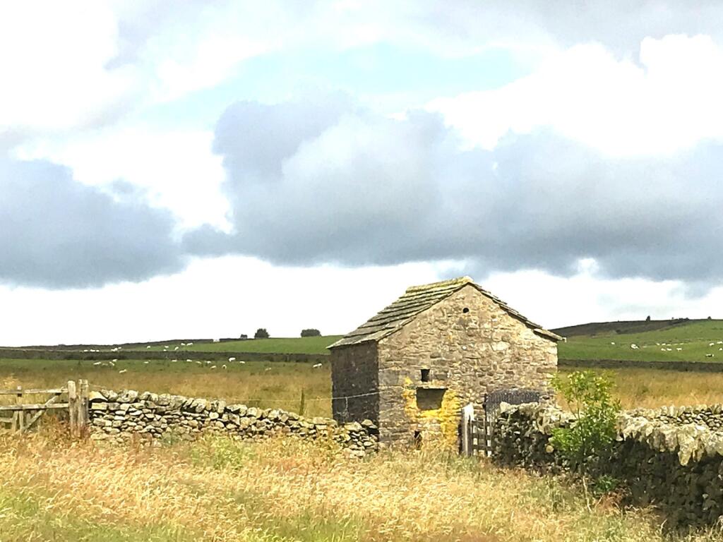 Picture 42