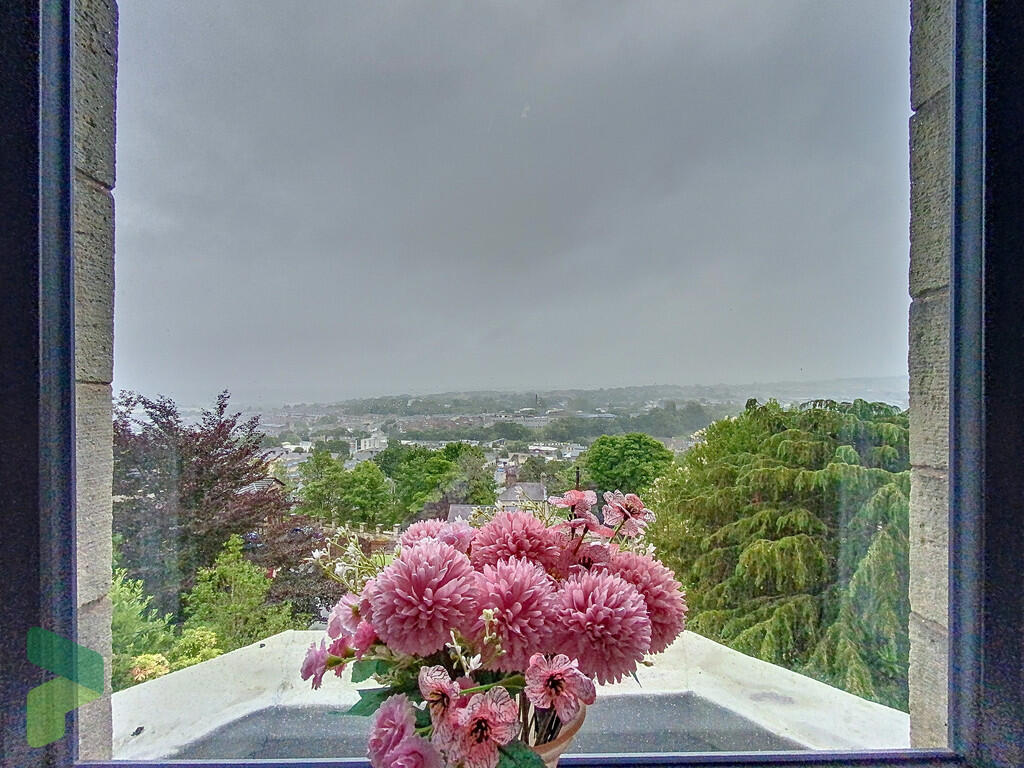 View from Bedroom...