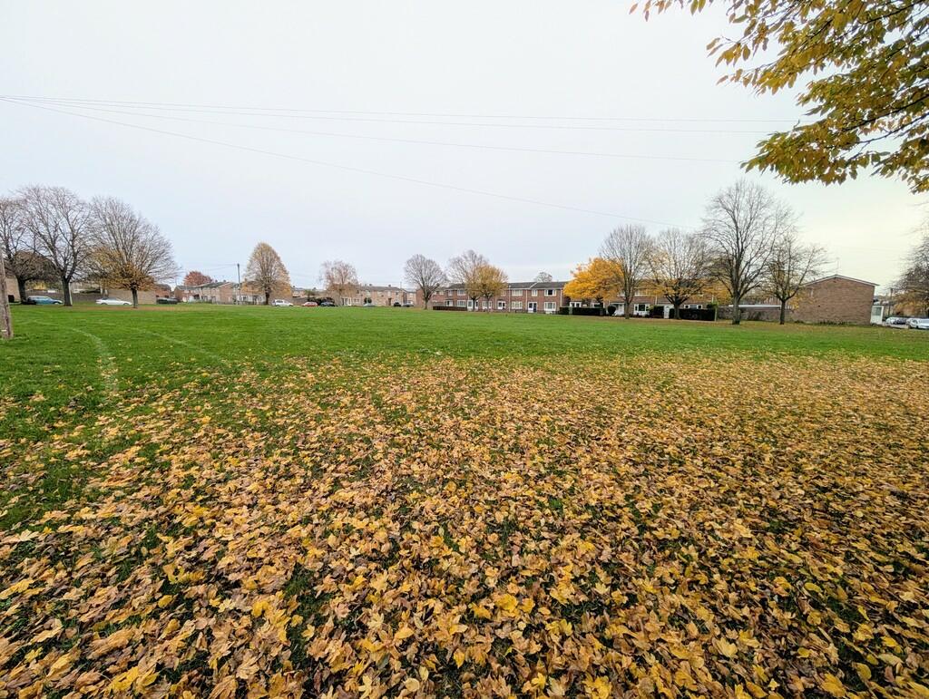 PXL_20241118_1453...