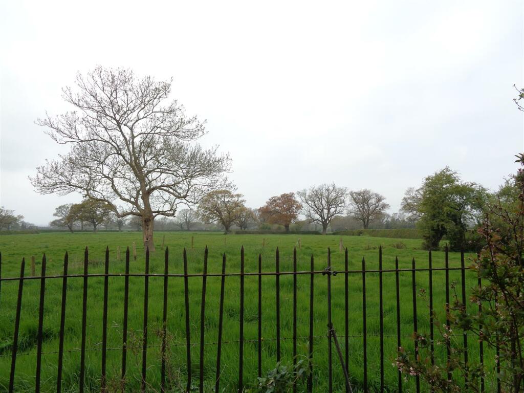 DSC00565.JPG