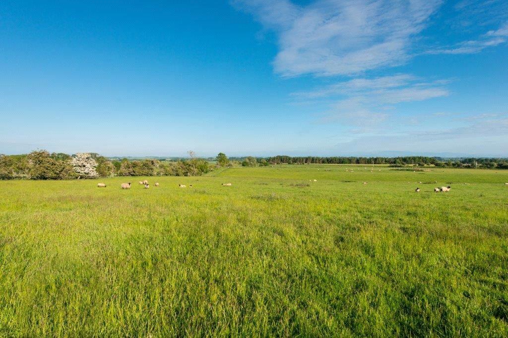 Lot 1 Land