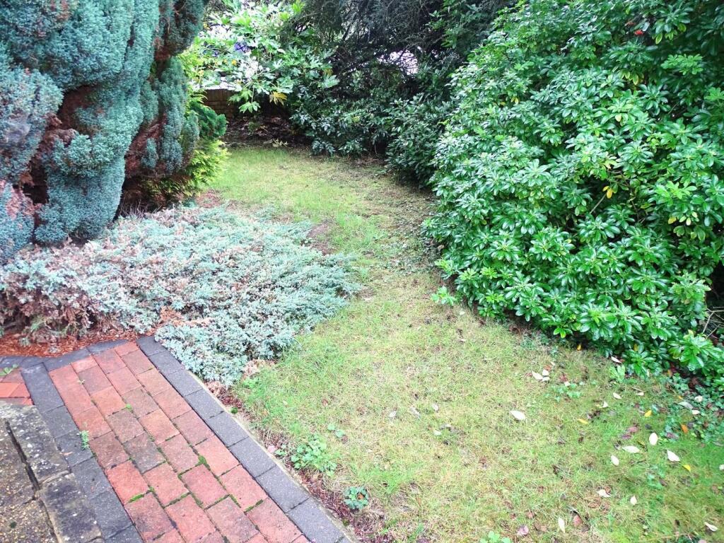 SIDE GARDEN AREA