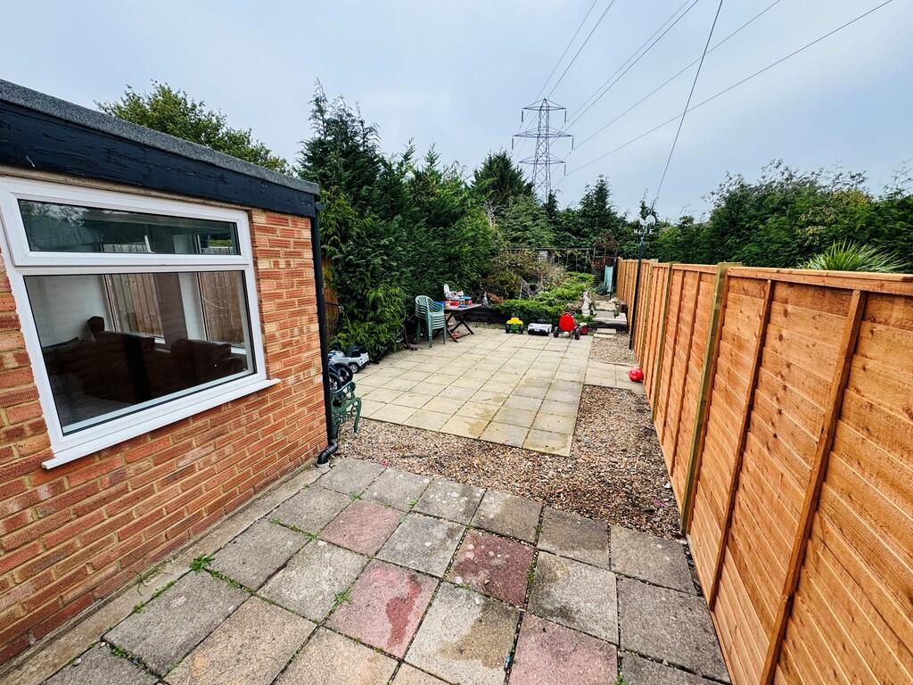 15 lea bushes oct...