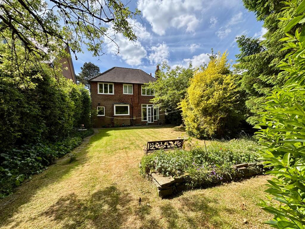 WhatsApp Image 2025-05-23 at 16.20.18 (10).jpeg