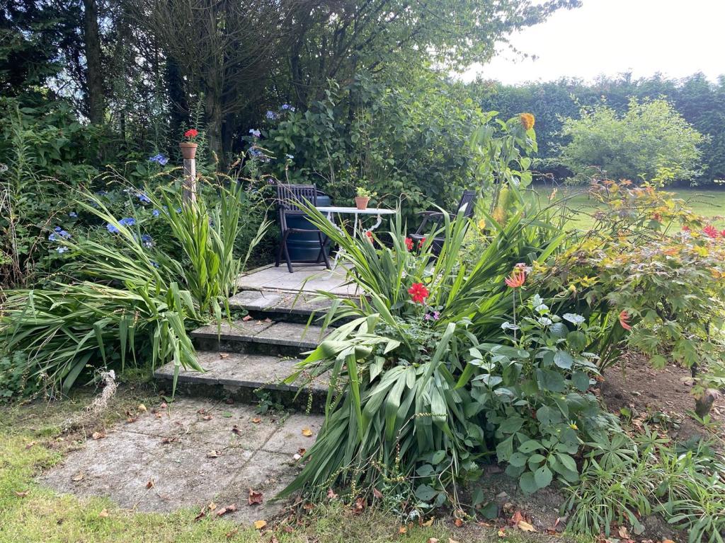 new patio.JPG
