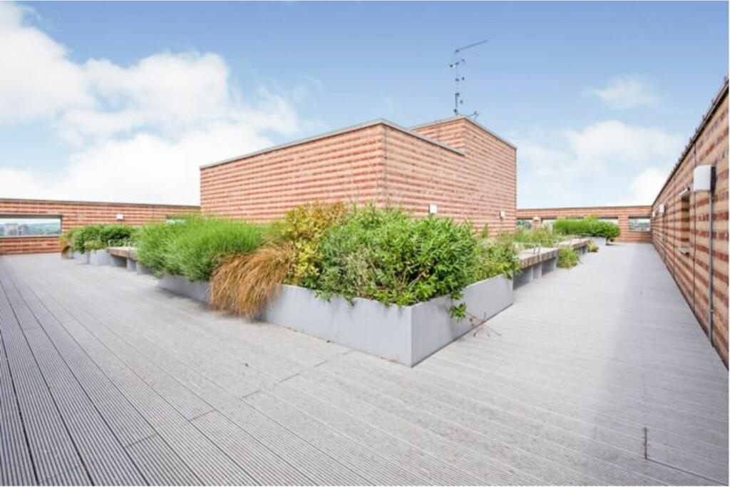 Roof Terrace
