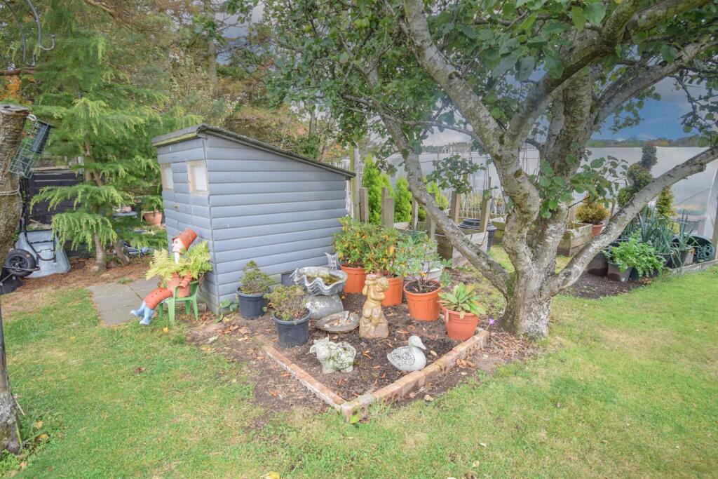 SHED-2..jpg