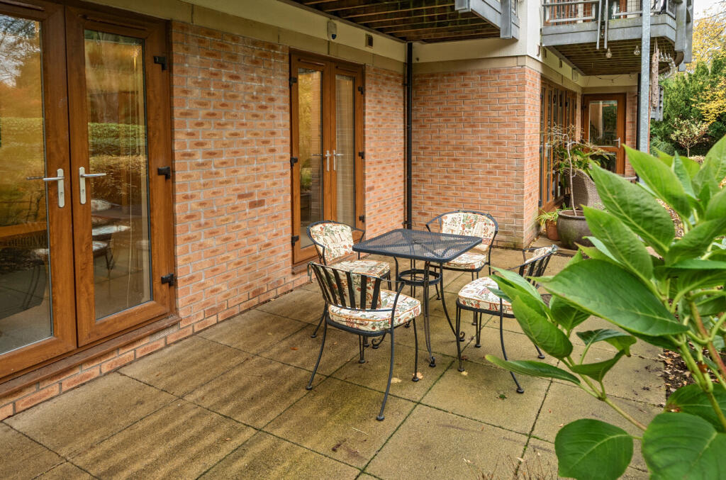 Rear Patio