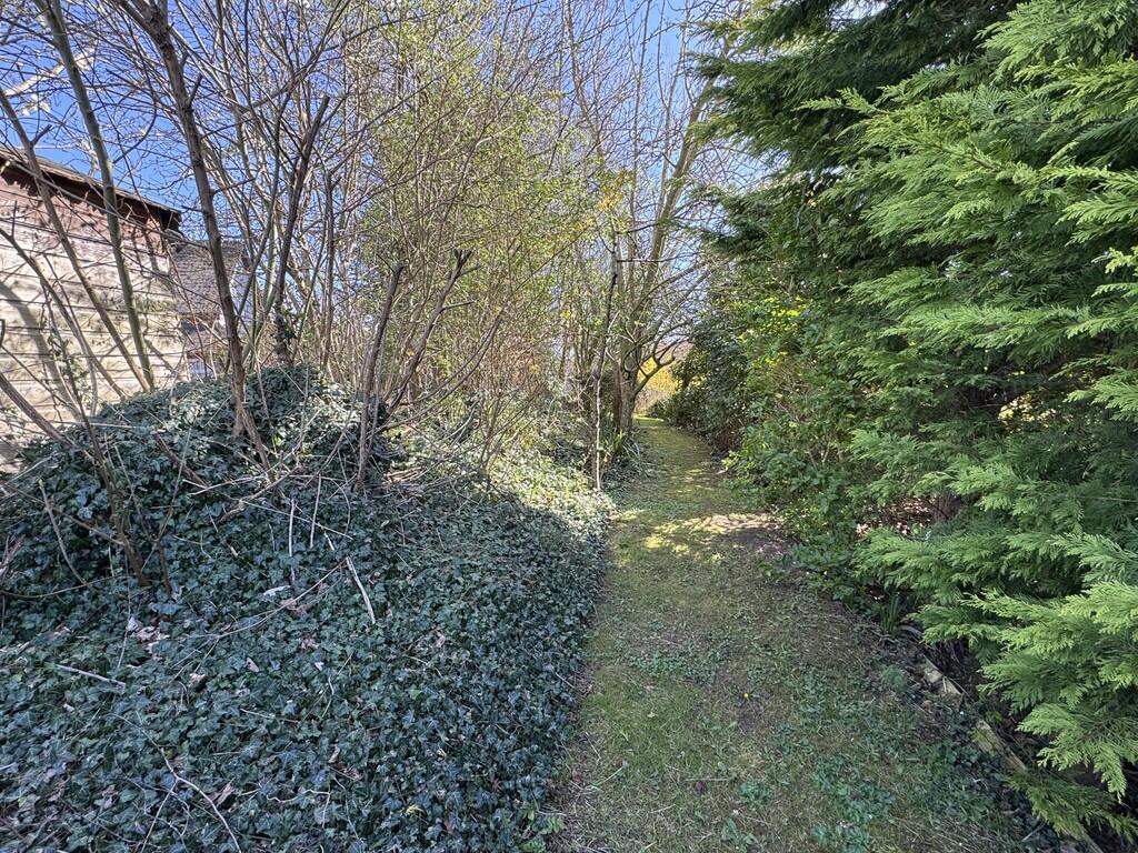 Woodland walk are...