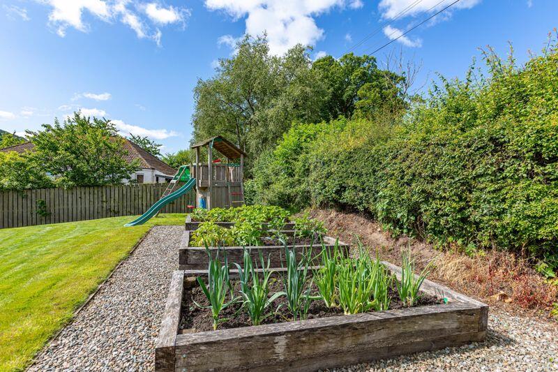 Raised Vegetable Beds