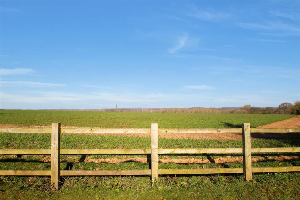 View.jpg