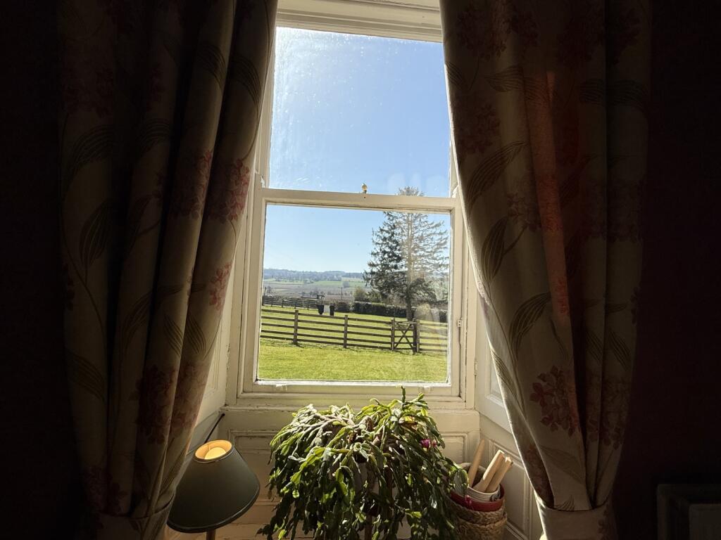 Living Room Window Outlook