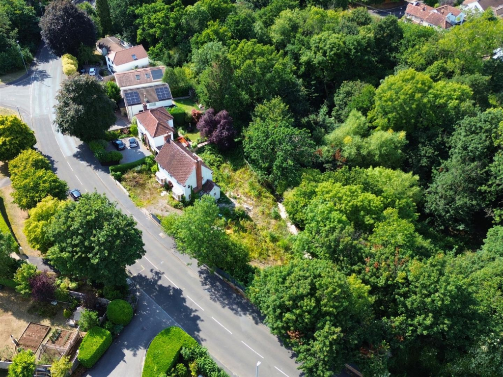 Untitled design (7).png