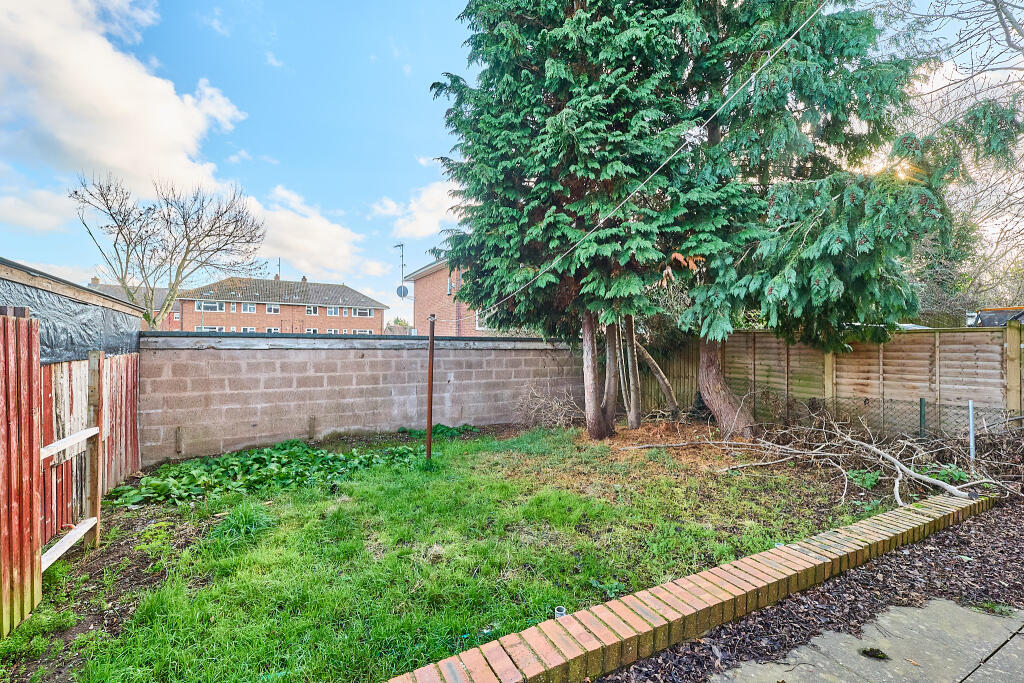 P1617303 T202511201656.jpg