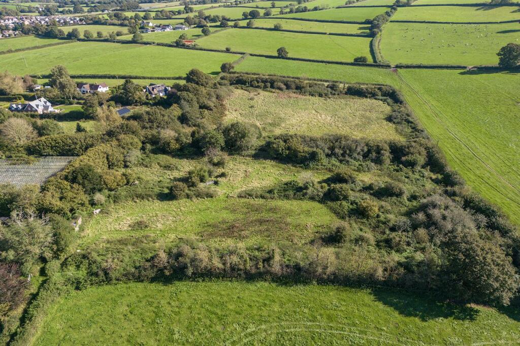 OakTreeNurseryDrone.6.jpg
