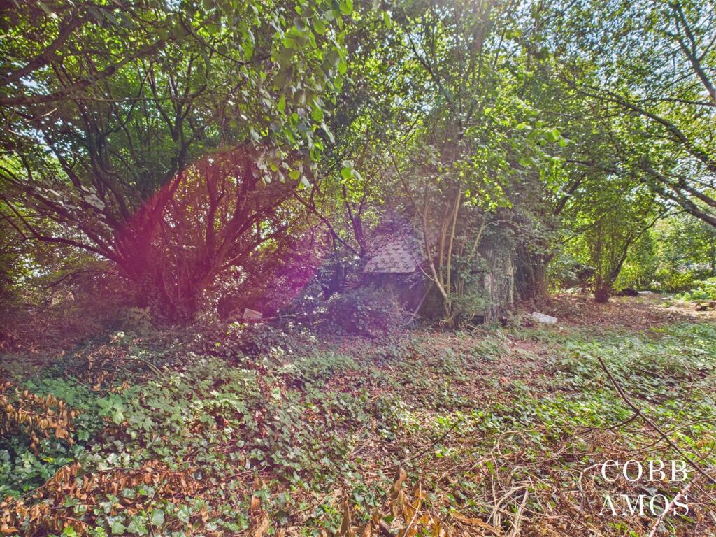 CAM02803G0-PR0217-STILL015.jpg