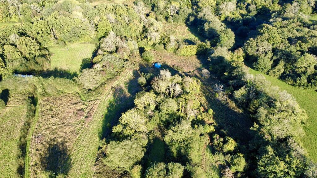 dji_fly_20250925_165446_934_1760706669708_photo_op