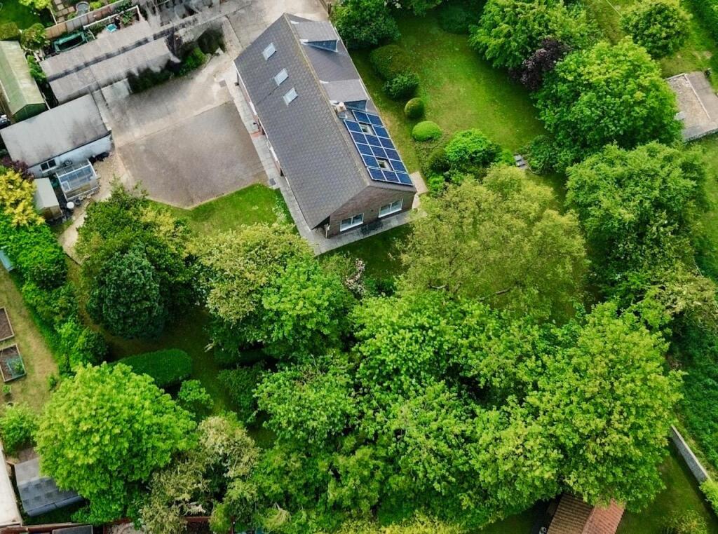 dji_fly_20250531_091120_187_1748689901755_photo_op