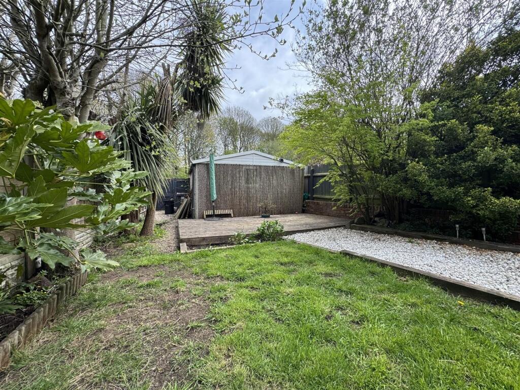 IMG_4796 (Large).JPG