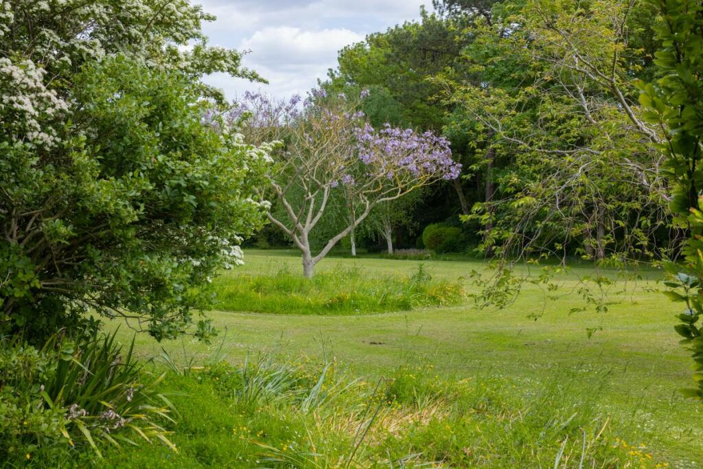 Communal Garden