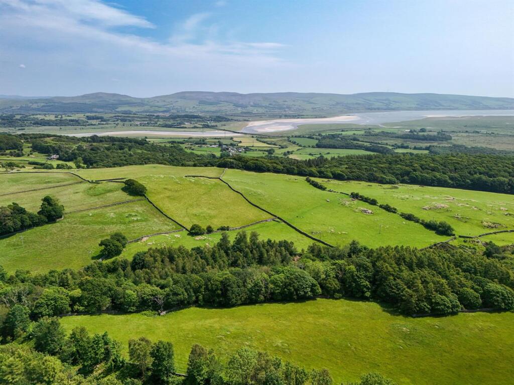 DJI_20250611131128_0777_D (1).jpg