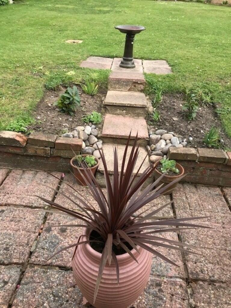 Vendor Garden Sho...