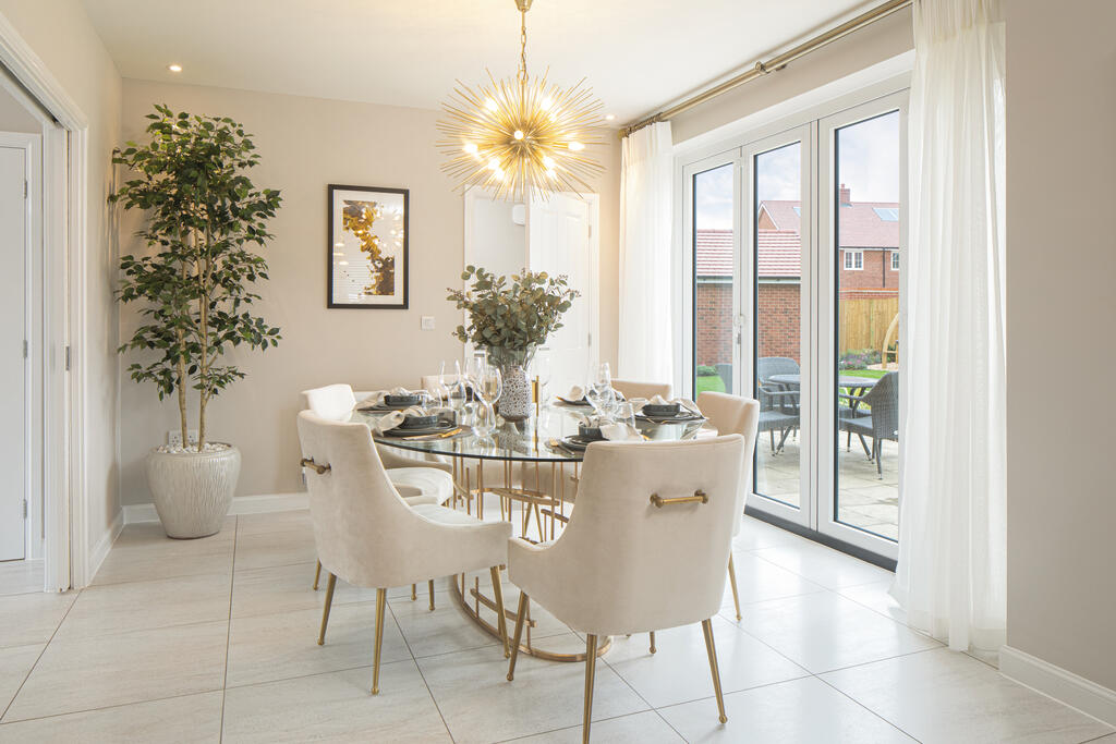 B1014-Maple x416-010