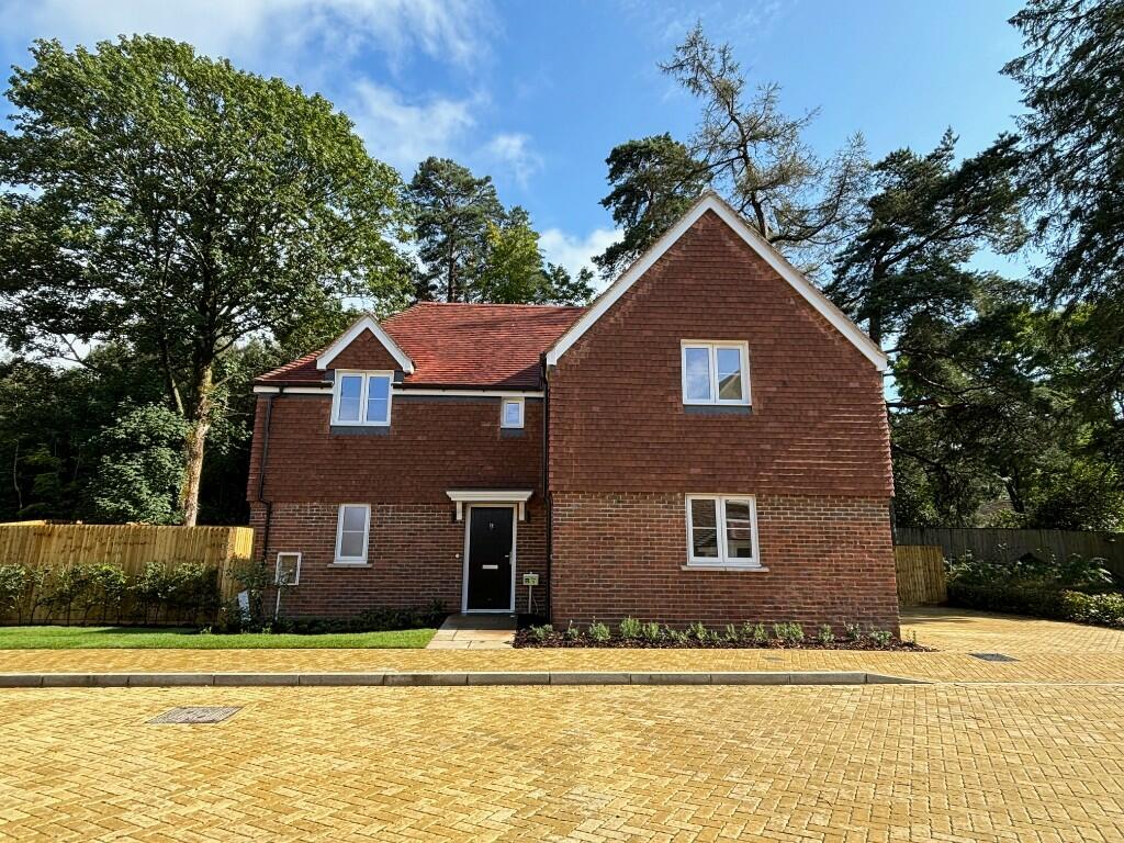 plot 5