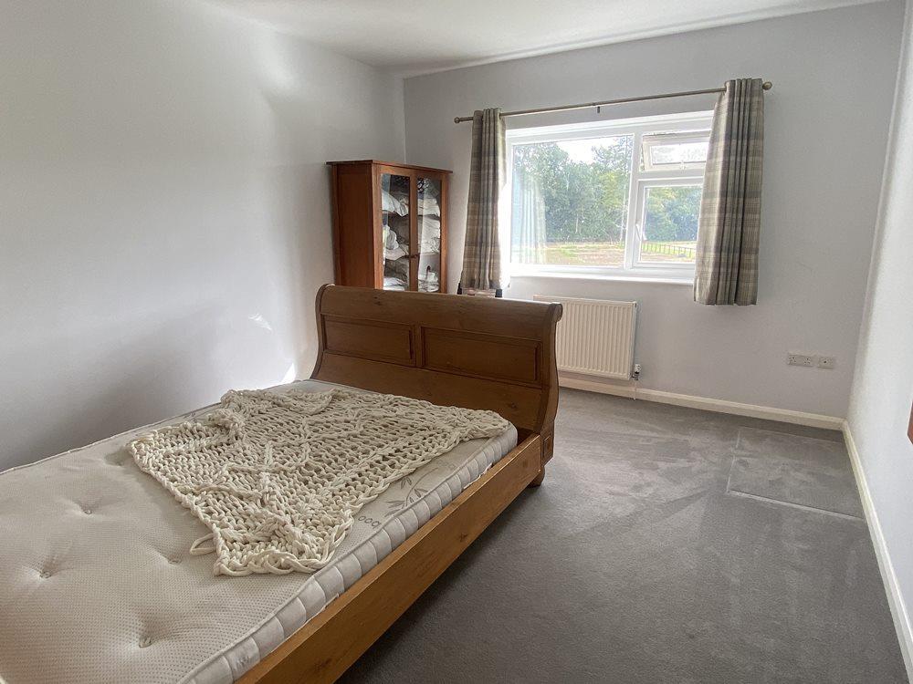 bed2.jpg