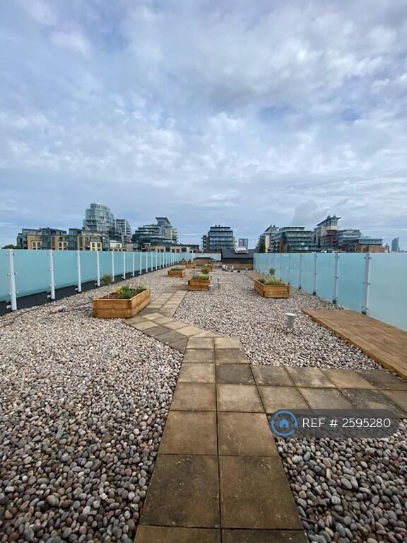 Communal Rooftop Terrace