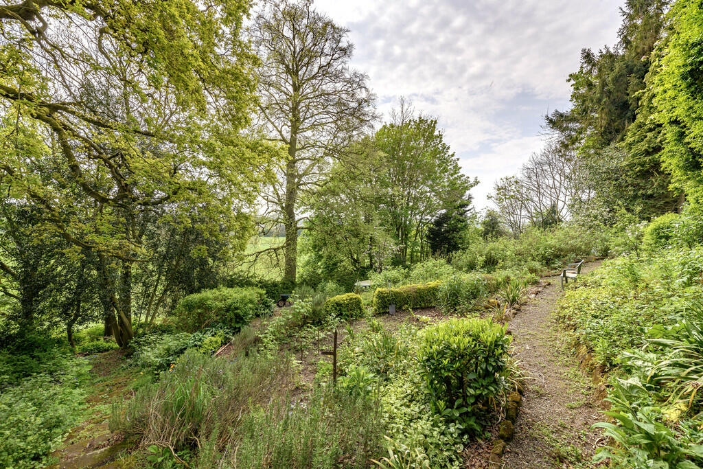 Woodland