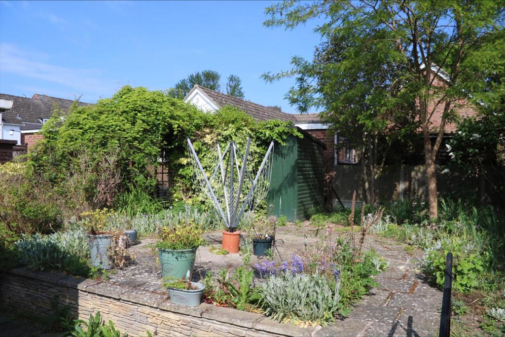 processed-12D1F1D4-912D-4D73-9F8F-0FB949899A81.jpe