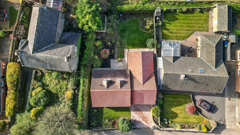 DJI_0580_1.jpg