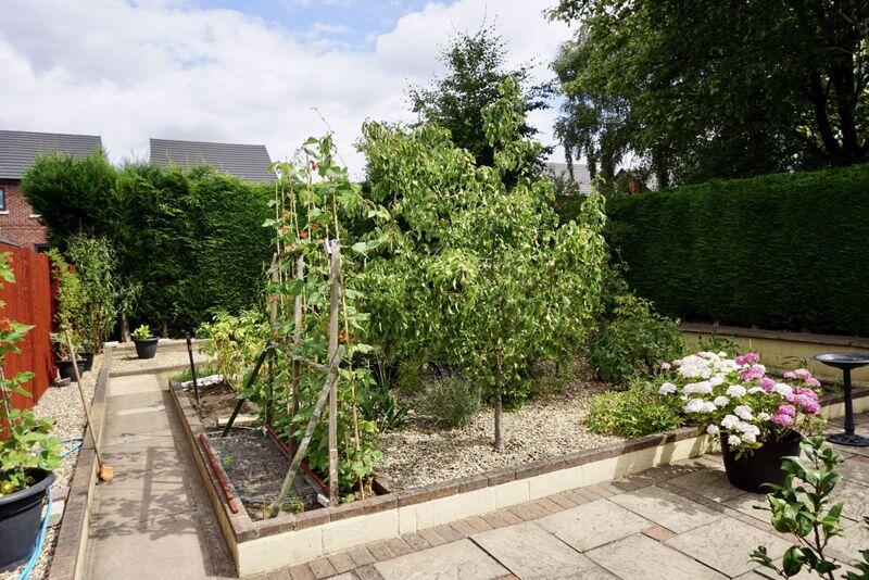 Rear growing garden