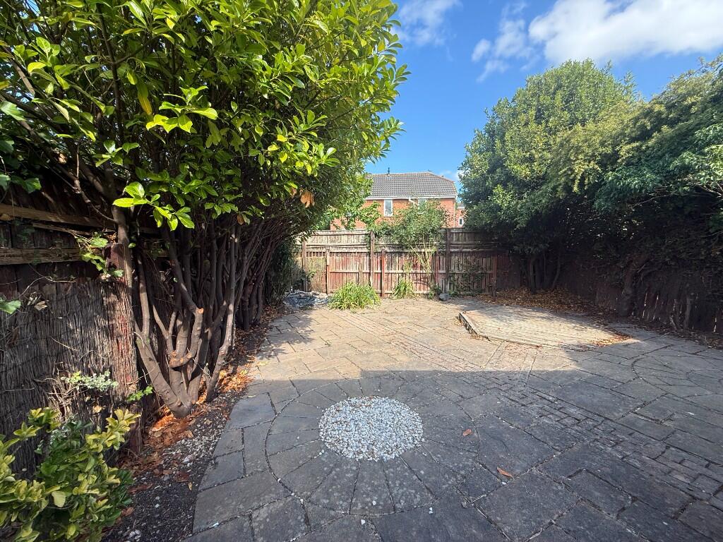 Back Garden
