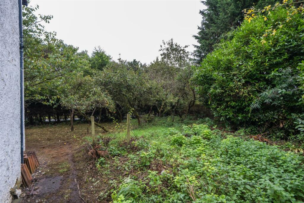 Springfield Farm-029.jpg