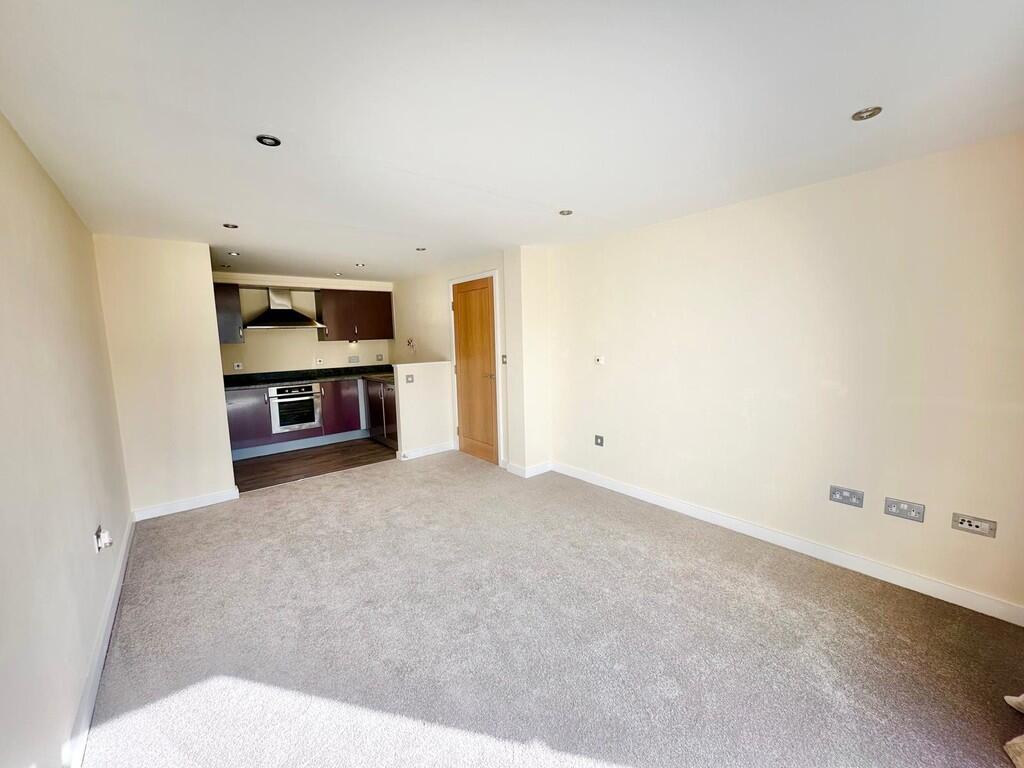 IMG-20250326-WA00...