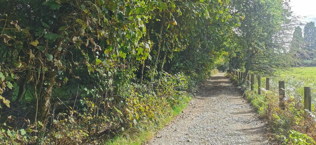 Access - Looking South