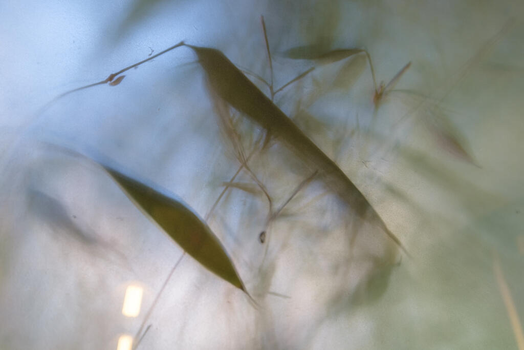 August 2022 (38).jpg