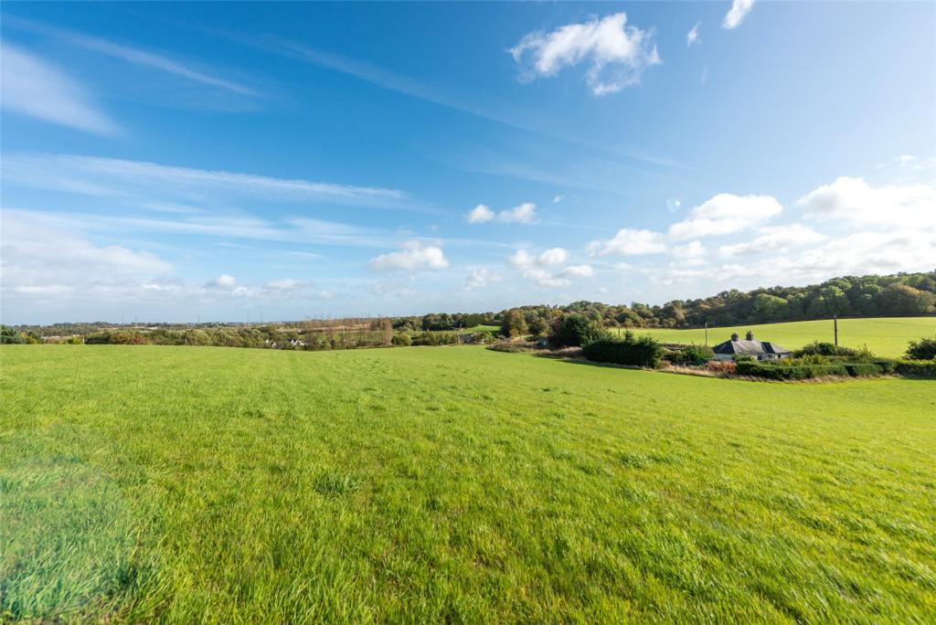Field