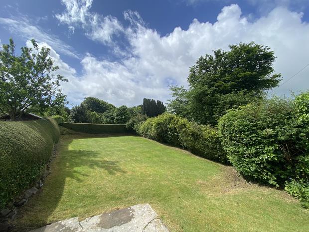 Garden photo 2