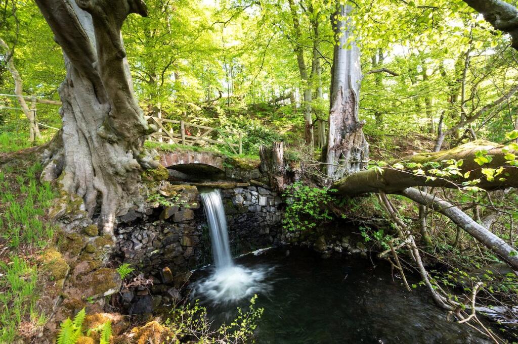 Stream