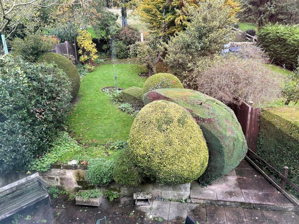 garden.JPG