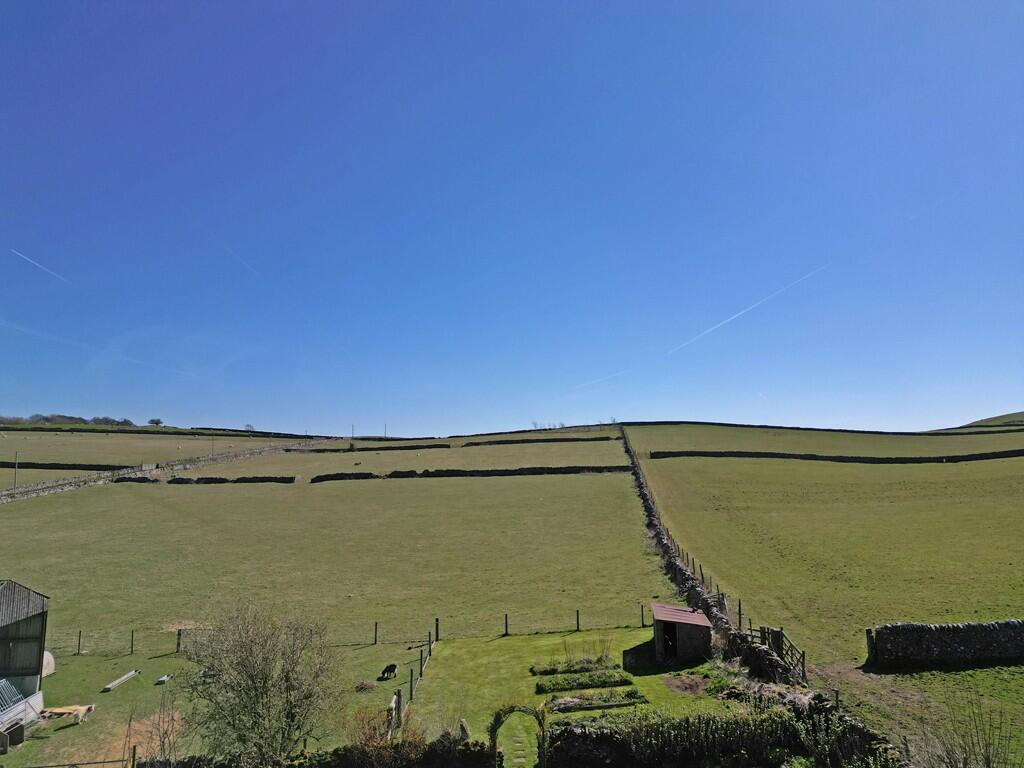 Fields