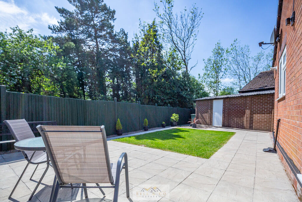 Back garden 1.5