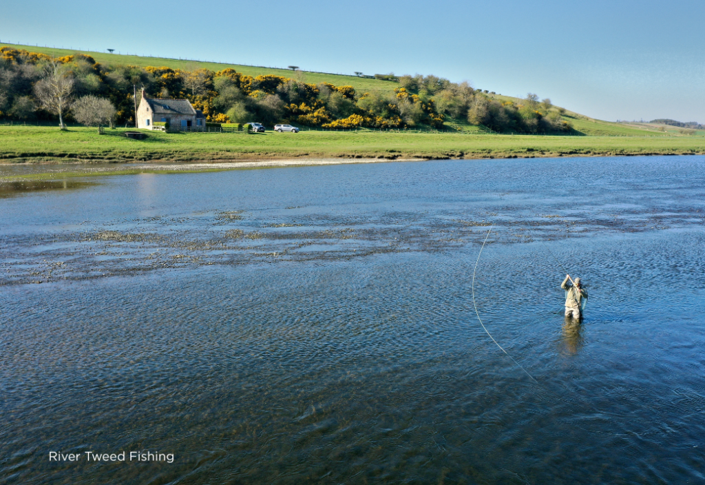 River Tweed Fishing