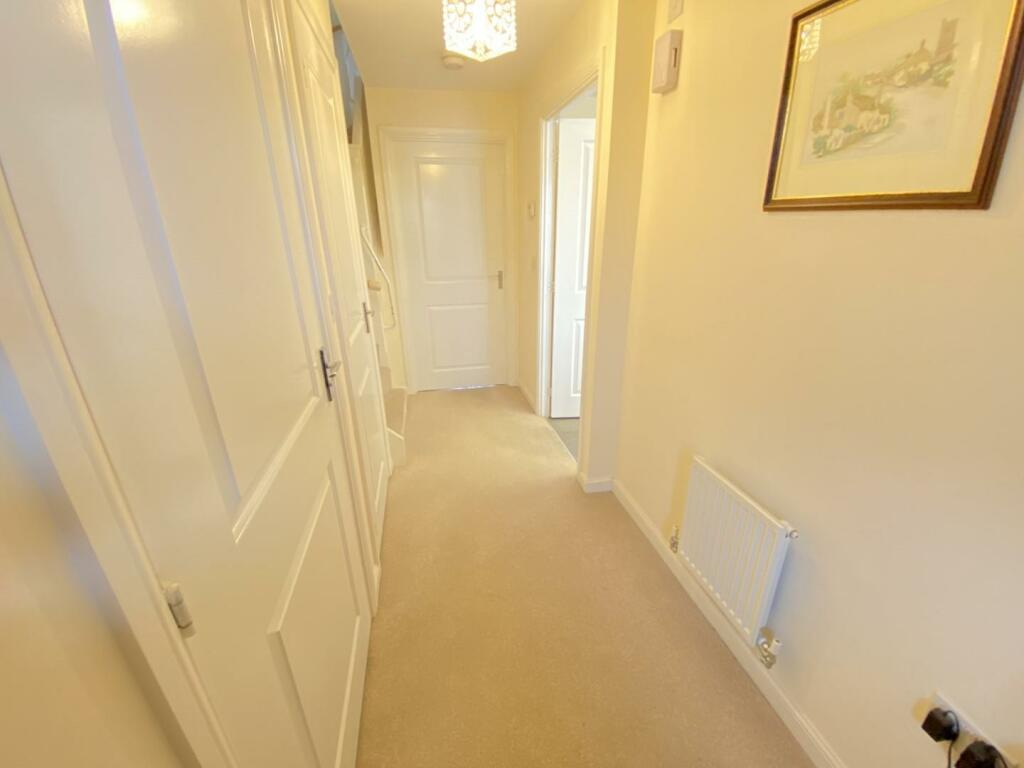 IMG_3046 (Large).JPG